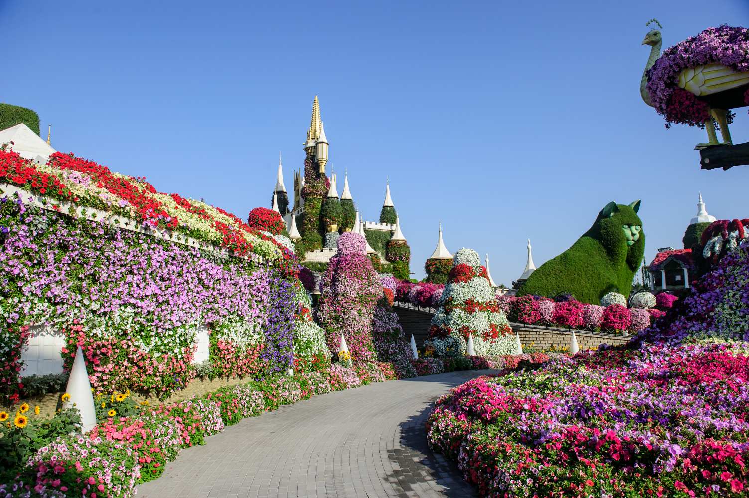 dubai-miracle-garden