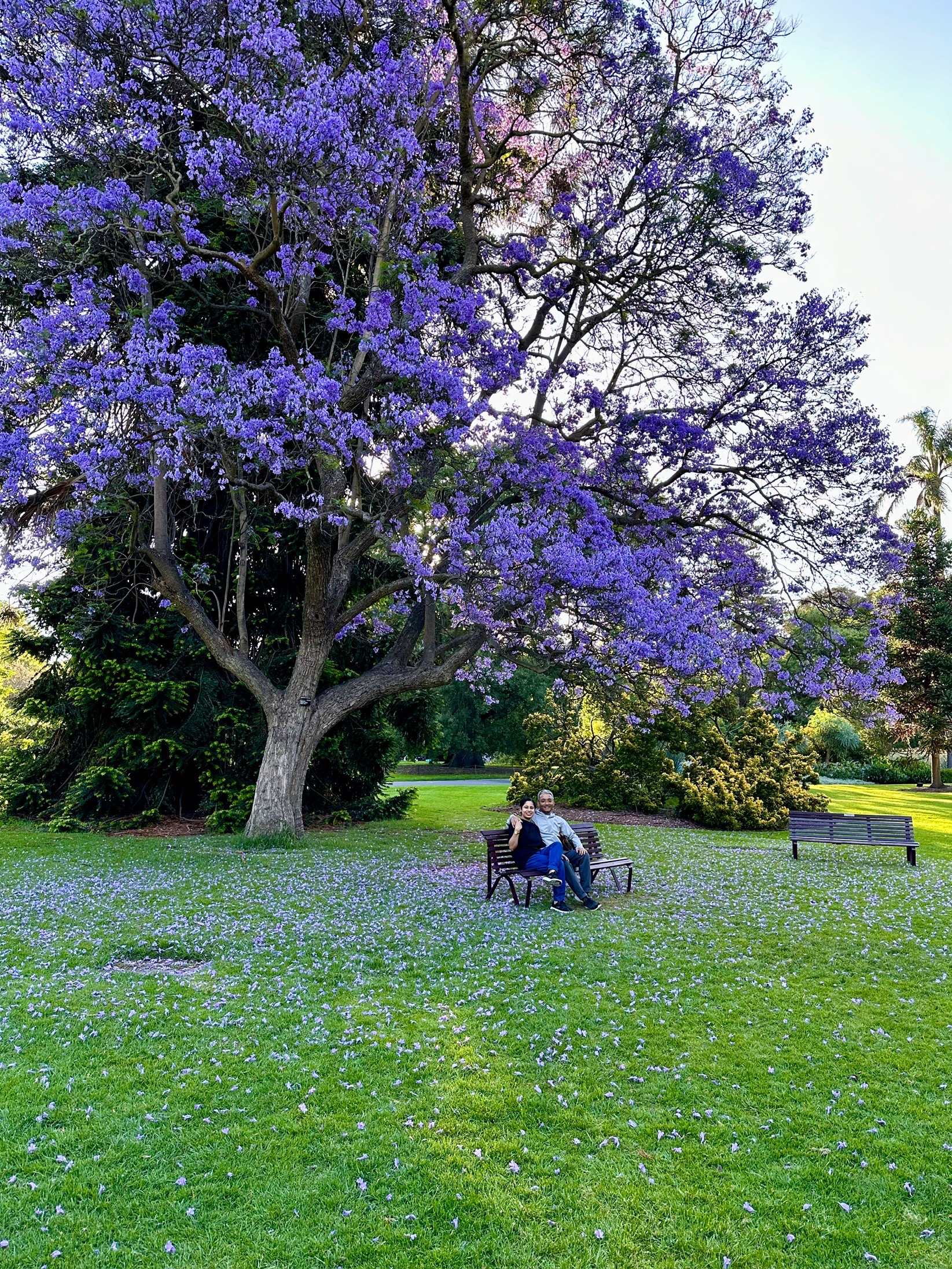 Royal Botanic Gardens