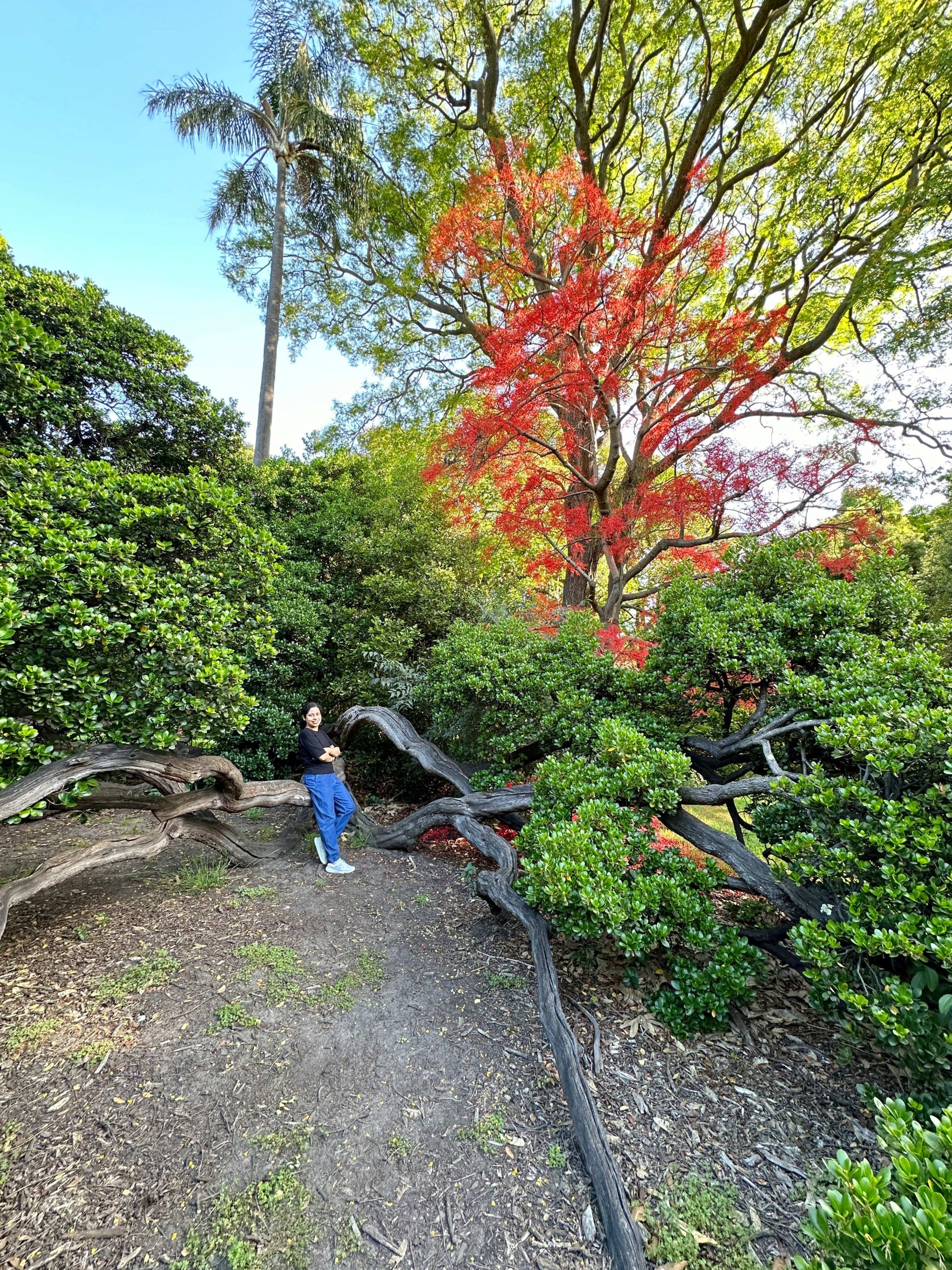 botanical garden