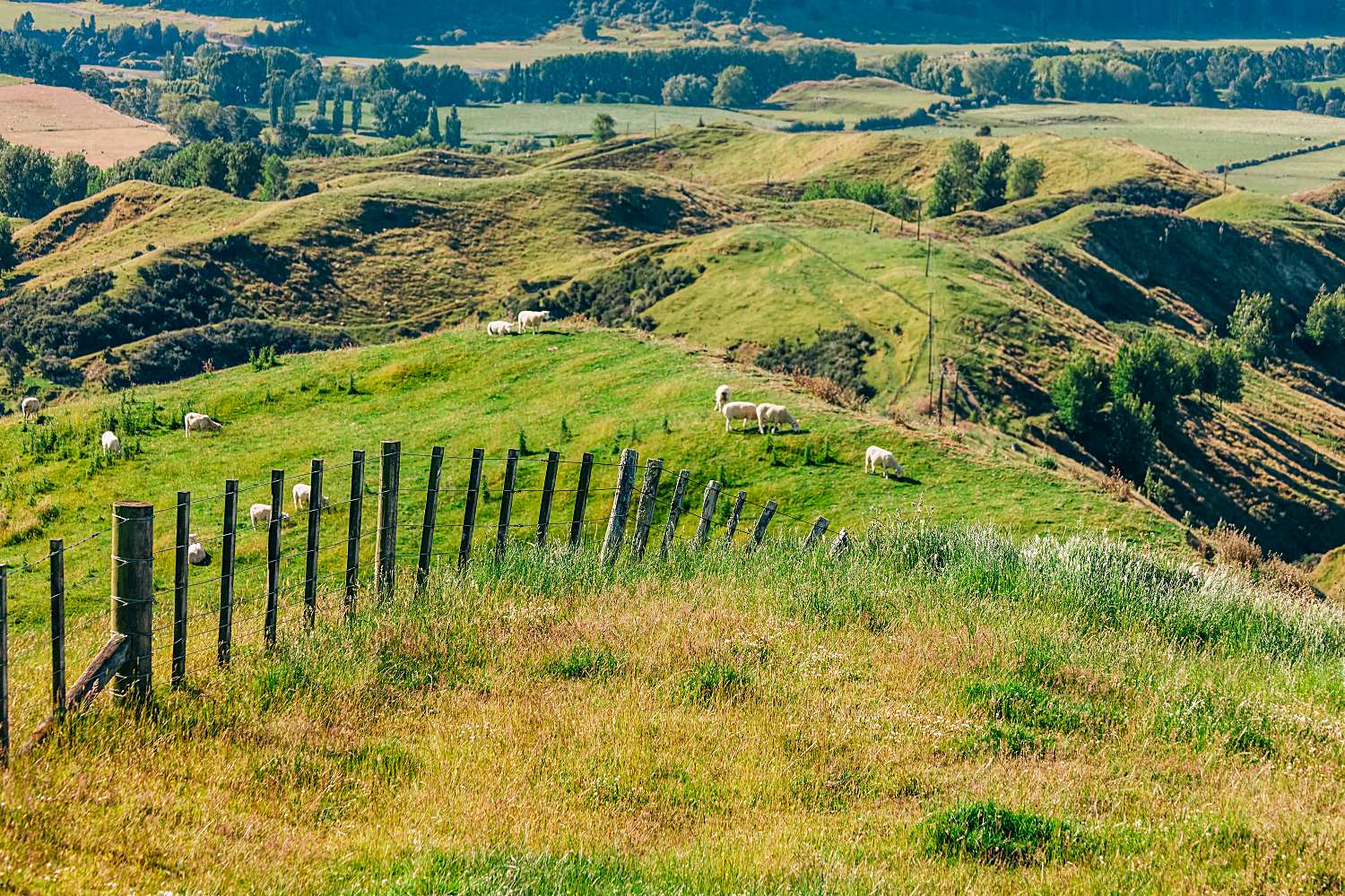 yarra valley